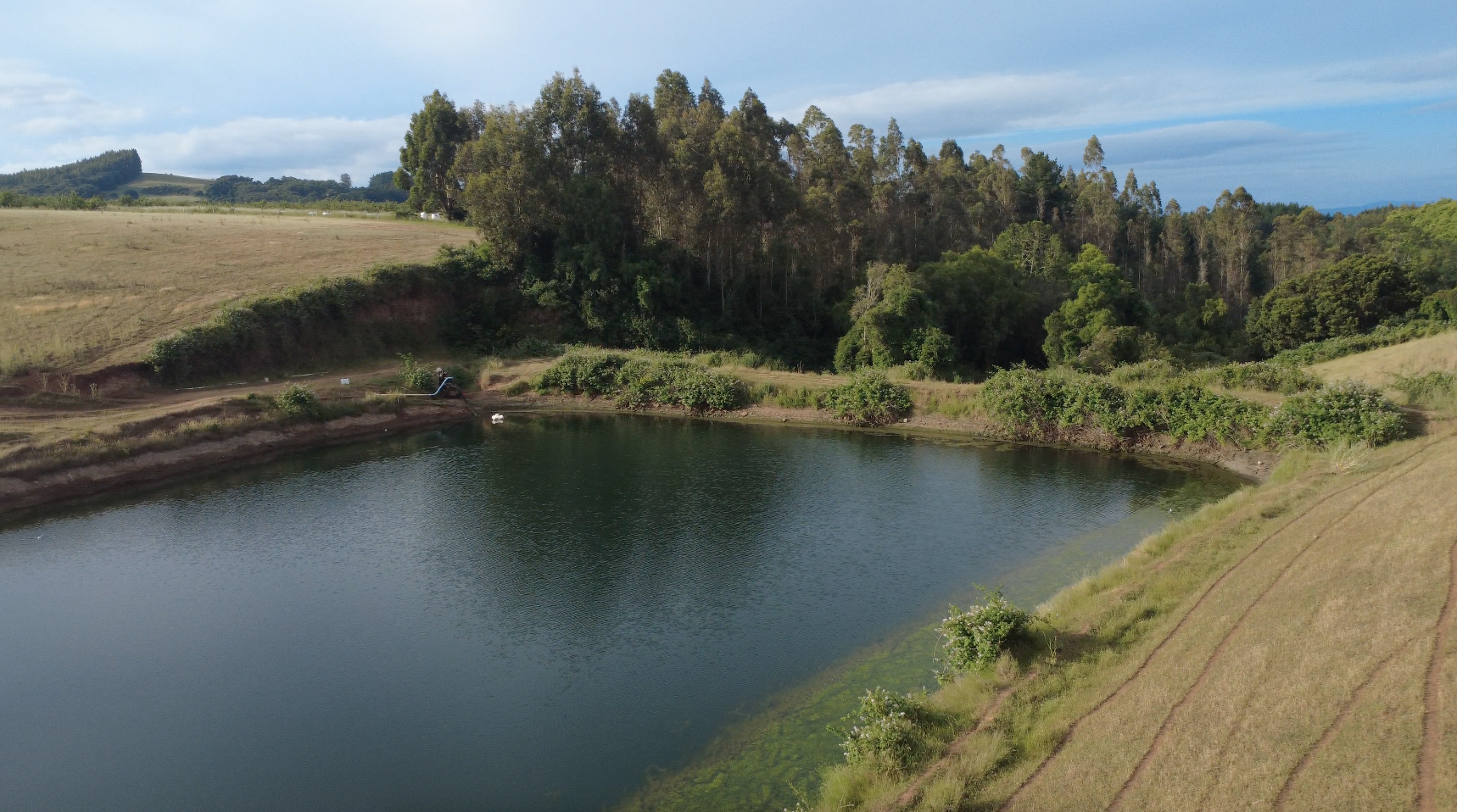 Captura de pantalla 2026-01-15 a la(s) 10.41.44 p.m.